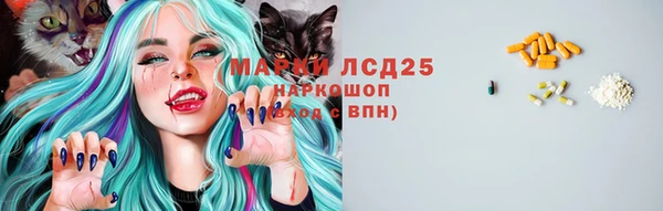 тгк Богородск